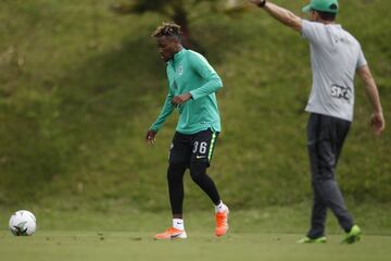 Así fue el entrenamiento de Atlético Nacional pensando en la primera fecha de cuadrangulares ante Cúcuta Deportivo en el Atanasio Girardot el sábado 9 de noviembre.