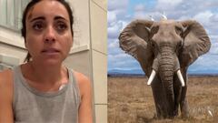 Una española relata una experiencia aterradora en un safari: “Me ha dado la paliza de mi vida”