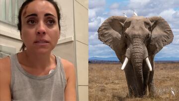 Una española relata una experiencia aterradora en un safari: “Me ha dado la paliza de mi vida”