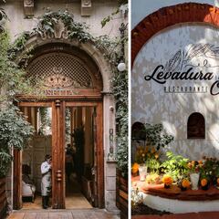 Los 18 restaurantes que ganaron estrellas Michelin en México 2024: ¿cómo son y dónde se encuentran?