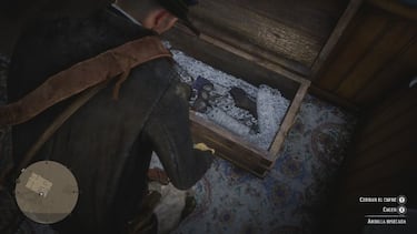 Dónde encontrar la ardilla disecada de Red Dead Redemption 2