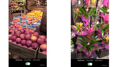 Cómo ayudar a un daltónico a ver bien los colores con esta app