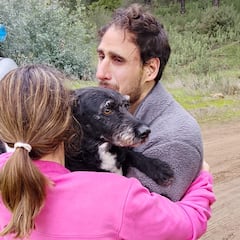 Rescatan a Boro, el perro desaparecido en el accidente de Adamuz: “Volverá a estar con su familia”