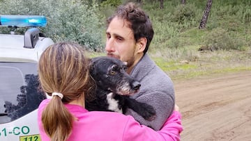 Rescatan a Boro, el perro desaparecido en el accidente de Adamuz: “Volverá a estar con su familia”
