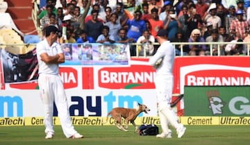 England captain Alastair Cook (left and spectators watch a dog which ran onto the field during the first day of the second Test.