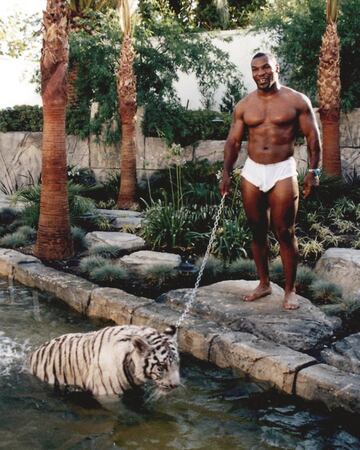 El siempre controversial Mike Tayson adquirió a un tigre blanco como mascota  
