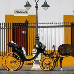 ¿Es legal utilizar caballos en la Feria de Abril con la Ley de Bienestar Animal?