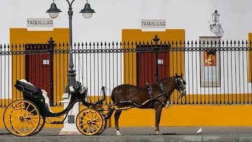 ¿Es legal utilizar caballos en la Feria de Abril con la Ley de Bienestar Animal?