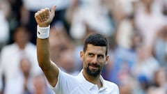 Novak Djokovic on course for another Wimbledon final against his new nemesis