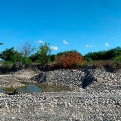 Asesinatos y tráfico ilegal: qué es la ‘ruta de la arena’, uno de los lugares más peligrosos de República Dominicana