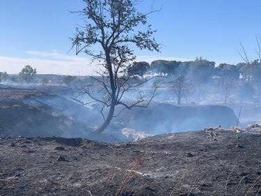 Arden los terrenos donde se construirá la nueva ciudad deportiva del Real Valladolid