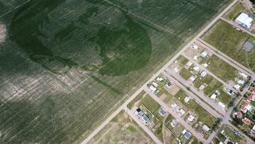 Messi brota en un campo de maíz