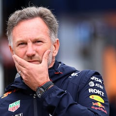 Red Bull despide a Horner