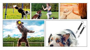 Encontramos un silbato ultrasónico para darle señales y comandos claros a tu perro