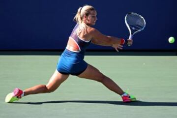 Gran a?o de la eslovaca que entra por primera vez en el top ten del tenis mundial. Empez¨® en el puesto 38 y ascendi¨® 33 puestos hasta el quinto que ocupa actualmente. Redonde¨® su a?o ganando la WTA Finals en Singapur al vencer en la final a Angelique Kerber.