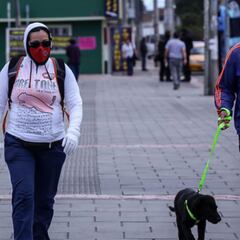 Ingreso Solidario: cómo saber cuándo me llegará la ayuda en diciembre