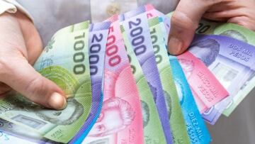 Bono Marzo 2024: cómo consultar con mi RUT si cobro el nuevo monto hoy, 11 de febrero, y fechas de pago del Aporte Familiar Permanente