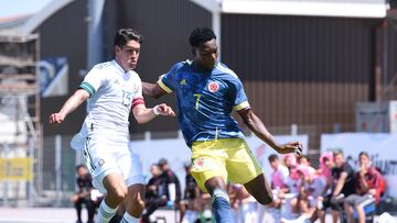 La Selección Colombia Sub 20 perdió 0-2 ante México en el partido por el tercer puesto del torneo Maurice Revello.