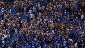 Hinchas de Millonarios