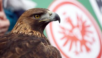 El águila Adler.