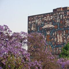 UNAM, segunda mejor universidad en Latinoamérica