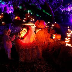 ¿Cuándo es Halloween en Estados Unidos? Fecha y qué día se celebra en USA