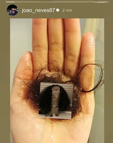 Los mejores memes del fin de semana