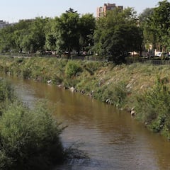El Manzanares es el río más contaminado por fármacos de Europa