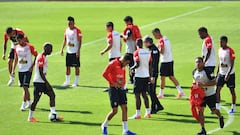 Ganar a Brasil: el gran reto de Perú y Gareca