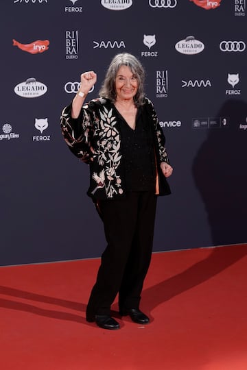 La actriz Petra Martínez posa en la alfombra roja de la XI edición de los Premios Feroz.