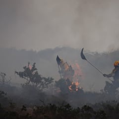 ¿Cuántos municipios de Colombia están en alerta por incendios forestales y qué medidas se están tomando?