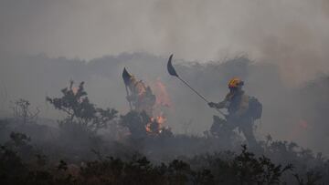 Bomberos de Asturias trabajan para extinguir las llamas en un incendio forestal en Toraño, Asturias (España). El Gobierno regional activó el pasado jueves por la noche el Plan de Incendios Forestales del Principado de Asturias (INFOPA).