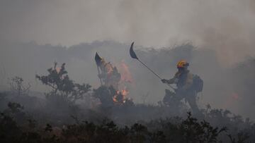 Bomberos de Asturias trabajan para extinguir las llamas en un incendio forestal en Toraño, Asturias (España). El Gobierno regional activó el pasado jueves por la noche  el Plan de Incendios Forestales del Principado de Asturias (INFOPA).