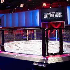 La UFC no para: mantiene sus próximos cuatro eventos