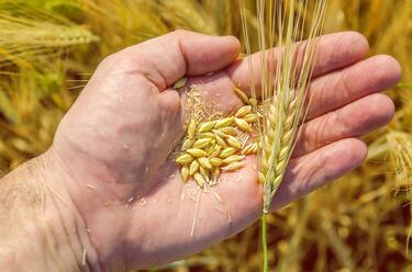 Nutrición positiva a través de ingredientes simples y sostenibilidad