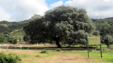 La Va Verde de la Sierra: Un paraso gravel en Cdiz