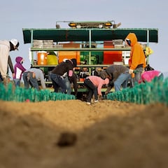 Se acabó la prórroga al permiso de trabajo: la última mala noticia para los inmigrantes en Estados Unidos