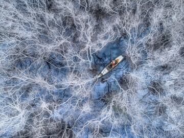 Un pescador comienza su jornada de pesca en el manglar de la laguna de Tam Giang en la provincia de Hue (Vietnam). Los manglares pierden todas sus hojas y se vuelven blancos durante la temporada de invierno.