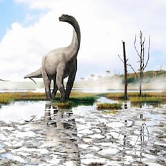 Hallan un dinosaurio en Burgos: se llamará Andrés Iniesta