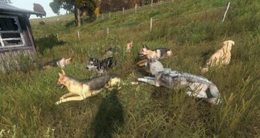 Los mejores mods de DayZ y cómo descargarlos e instalarlos