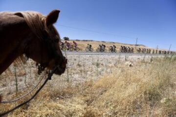 La séptima etapa de la Vuelta en imágenes