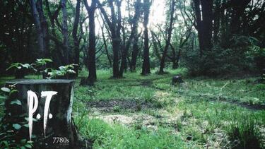 P.T. vuelve a la vida gracias a la comunidad