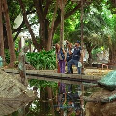 Emergencia sanitaria en Cali por el dengue: medidas, restricciones y cómo evitar contagios