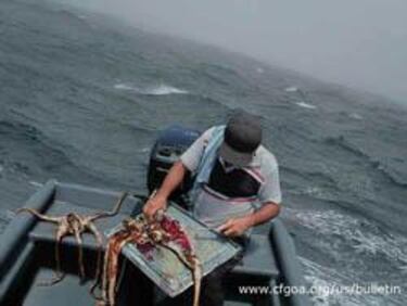 Sorprendente campaña publicitaria para Cold Fear