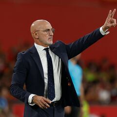 Luis de la Fuente, renovado