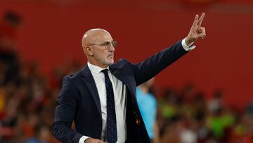 El seleccionador nacional Luis de la Fuente durante un partido.