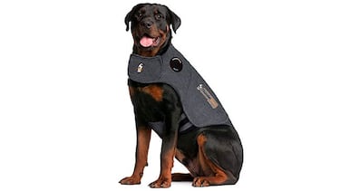 Este abrigo calma a perros con ansiedad por separación, tormentas o fuegos artificiales