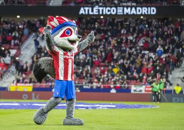 Indi, la mascota del Atlético de Madrid.