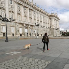 Coronavirus: la mortalidad en Madrid, por encima del 10%