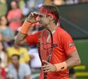 David Ferrer, dramática victoria número 19 en 20 partidos